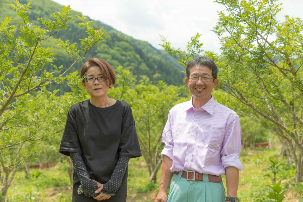 造園屋さんが作る朝倉山椒 栽培のカギは腐葉土 養父市企業マッチングサイト